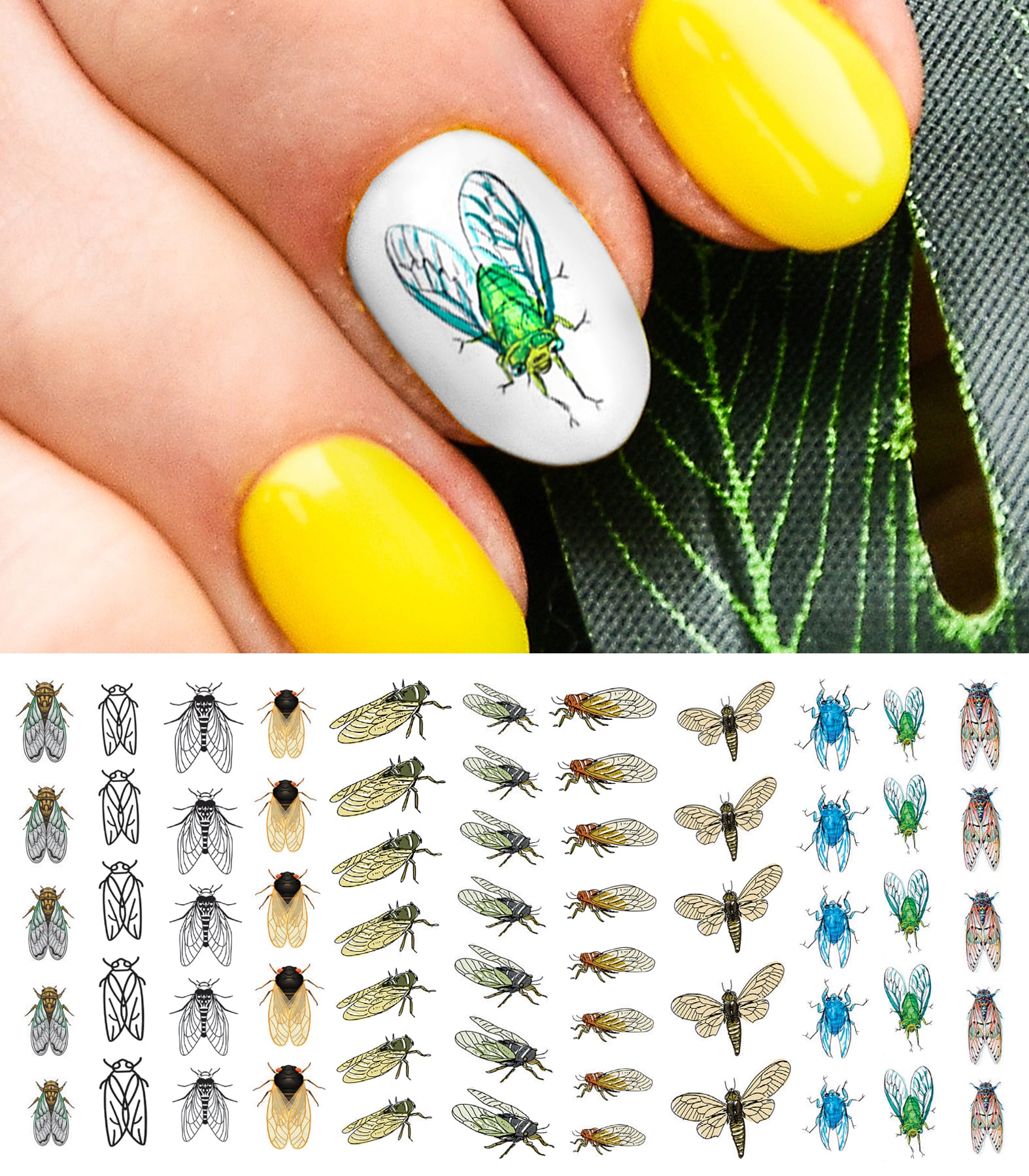 cicadas nails